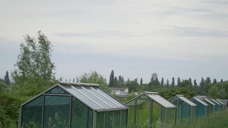 Row-of-greenhouses-in-a-lush-setting-under-a-cloudy-sky,-creating-a-serene-atmosphere-of-rural-or-suburban-agriculture