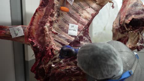 Cow-meat-carcass-being-cut-at-ribs-by-a-worker-at-a-meat-processing-plant-with-sharp-knife,-Medium-shot