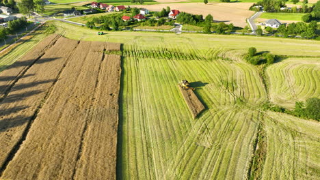 Aerial-view-of-a-combine-harvester-in-a-field-near-residential-homes,-harvesting-crops