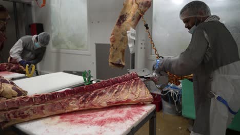 Caja-Torácica-Y-Columna-Vertebral-De-Res-Siendo-Separadas-Por-Una-Sierra-Circular-En-Una-Planta-Procesadora-De-Carne,-Plano-Medio