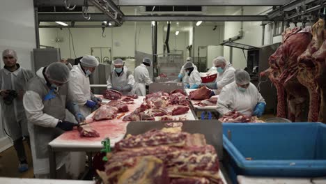 Cow-meat-carcasses-being-cut-and-separated-by-a-workers-at-a-meat-processing-plant,-Medium-shot