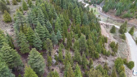 Jungle-view,-The-Drone-flies-over-a-landscape-of-dense,-verdant-forest-covered-mountains,-Aerial-View-of-Lush-Green-Forest-Mountains,-Jungle-view