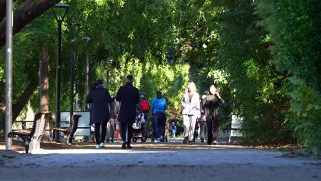 People-enjoy-a-leisurely-walk-on-a-tree-lined-pathway-in-a-tranquil-park-of-city-botanic-gardens,-with-benches-available-for-relaxation,-urban-oasis-in-Brisbane-central-business-district