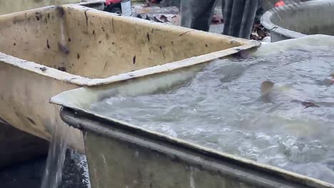 Fisherman-sorting-fish-with-net-that's-just-been-caught-in-the-sea-with-people-stock-footage-stock-video