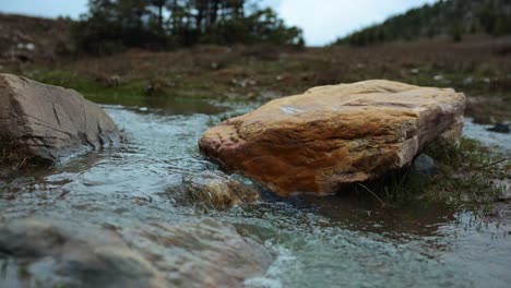 Cautivadora-Vista-En-Primer-Plano-De-Una-Fuente-Tranquila-Enclavada-En-Un-Exuberante-Y-Verde-Paisaje-Selvático