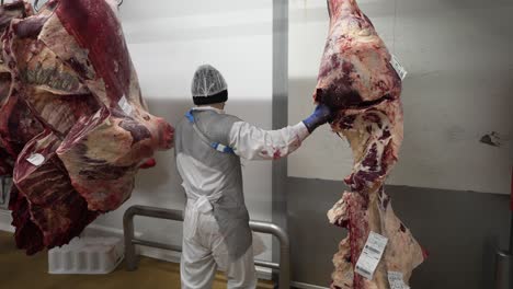 Meat-cow-carcass-being-cut-and-separated-by-a-worker-at-a-meat-processing-plant,-Medium-shot