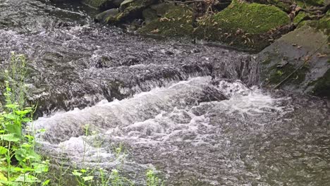 Kleiner-Wasserfall-Im-Wald-An-Einem-Sommertag-Mit-Grünem-Gras