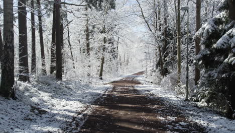 Snowfall-Over-Unpaved-Road-In-Winter-Forest-Trees