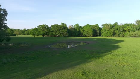 Puddle-Of-Water-In-Lush-Green-Field-On-Floodplain-In-Marchegg,-Austria