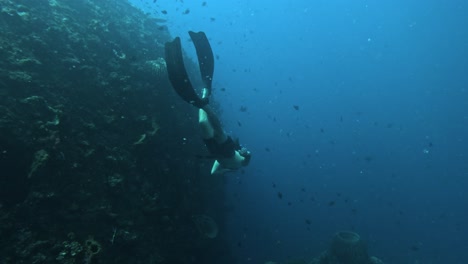 diver-going-down-into-dark-blue-underwater,-slowmotion-freediving-in-Indonesia,-Bali,-Tulamben