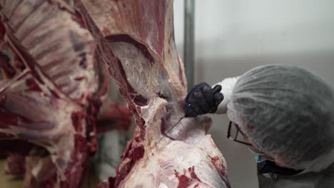 Cow-carcass-being-sliced-off-by-worker-at-a-slaughterhouse,-Handheld-medium-shot