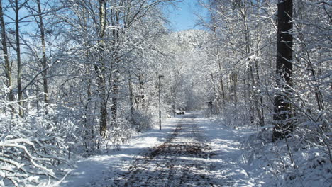 Snow-covered-forest-path-on-a-sunny-winter-day-with-clear-blue-sky