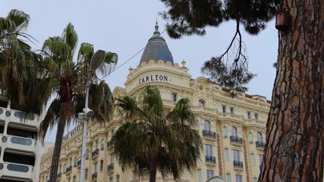 El-Famoso-Hotel-Carlton-De-Cannes,-Enmarcado-Por-Palmeras-En-La-Croisette