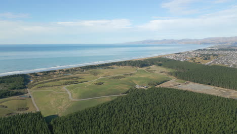 New-Zealand-Pine-Forest-Near-The-Beach-With-Mountains-In-The-Distance-60FPS