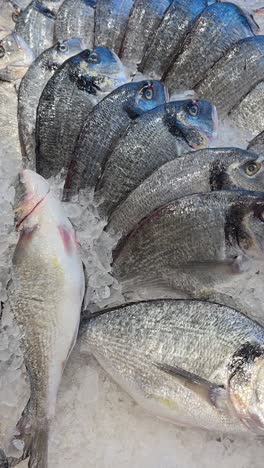 Pescado-Besugo-Recién-Capturado-En-Exposición-Para-La-Venta-En-Un-Supermercado-De-Dubái,-Emiratos-Árabes-Unidos