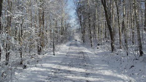 Empty-Rural-Road-Covered-In-Fresh-Snow-During-Winter