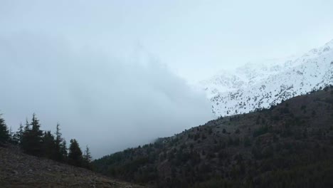 Una-Vista-Aérea-De-Un-Bosque-Verde-Y-Exuberante-Que-Cubre-Montañas-Onduladas,-Envuelto-En-Una-Niebla-Espesa-Y-Brumosa.