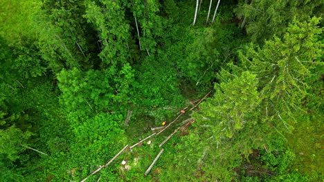 Vista-Superior-De-La-Deforestación-En-Una-Selva-Tropical.