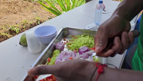 Outdoor-cooking:-Man-cutting-fresh-vegetables-like-red-peppers,-onion,-and-tomatoes-on-a-metal-tray,-with-a-field-backdrop-and-close-up-chopping-technique-on-a-sunny-day