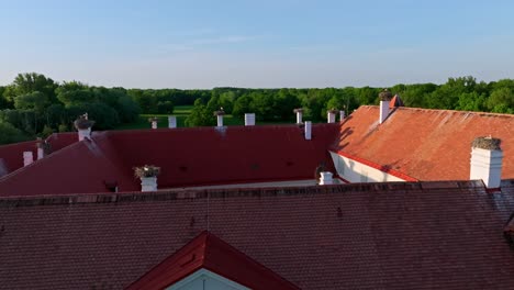 White-Stork-Birds-Nesting-On-The-Roof-Of-Marchegg-Castle-In-Lower-Austria