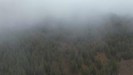 Eine-Luftaufnahme-Eines-üppigen,-Grünen-Waldes,-Der-Sanfte-Berge-Bedeckt-Und-In-Einen-Dichten,-Nebligen-Nebel-Gehüllt-Ist