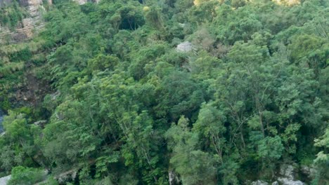 Salto-En-Bungee-Desde-Una-Plataforma-Alta-En-Sudáfrica,-Con-Cielo-Azul-De-Fondo,-Capturando-La-Acción-De-Un-Deporte-Extremo