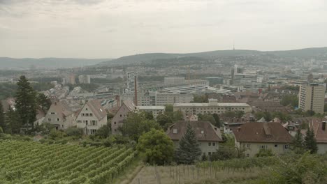 Cityscape-from-a-hillside-with-vineyards,-showcasing-a-blend-of-modern-and-traditional-architecture,-overcast-day