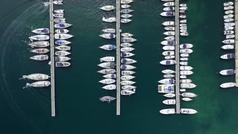 A-marina-in-sardinia-with-rows-of-docked-boats-on-a-calm,-clear-blue-sea,-aerial-view