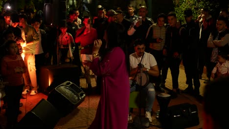 Singer-performing-at-Sofia-Park-on-a-warm-night