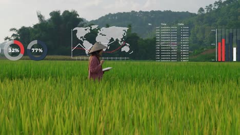 motion-graphic-Agritech-data-charts-asiatic-engineer-farmer-woman-checking-rice-field-crop-using-tablet-in-a-plantation-valley-in-south-east-Asia