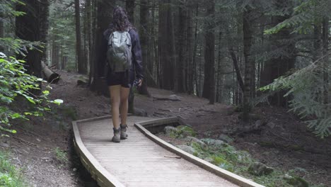 Adventurous-girl-with-backpack-walking-along-a-wooden-mountain-trail-into-an-enclosed-forest