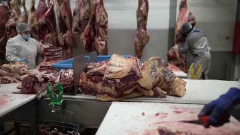 Cow-meat-being-cut-and-separated-by-a-workers-with-knives-at-a-meat-processing-plant,-Medium-shot