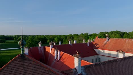 The-White-Storks-In-Bird-Nest-On-The-Roof-Of-The-Castle-Marchegg-In-Austria