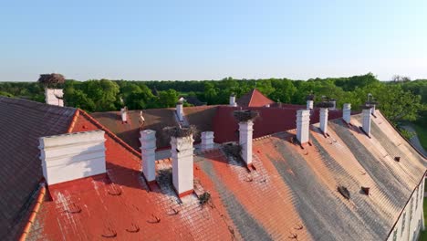 Wildlife-Szene-Mit-Weißstörchen,-Die-Auf-Dem-Dach-Einer-Antiken-Architektur-Nisten