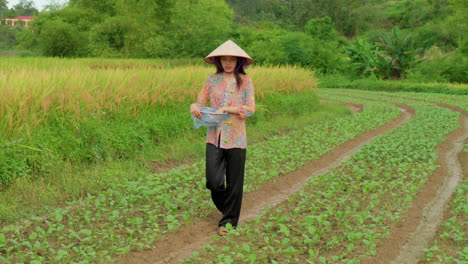 Mujer-Joven-Agricultora-Asiática-Sembrando-Semillas-En-Una-Plantación-De-Suelo-Fértil-En-Asia,-Cultivando-Alimentos-Contra-La-Inflación-Y-La-Crisis-Alimentaria