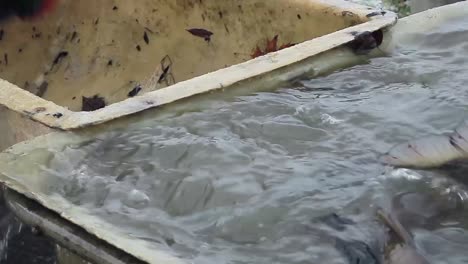 Fisherman-sorting-fish-with-net-that's-just-been-caught-in-the-sea-with-people-stock-footage-stock-video