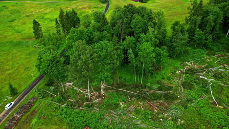 Luftaufnahme-Der-Abholzung-Durch-Den-Menschen-Zum-Zwecke-Der-Entwicklung-Und-Der-Schädigung-Der-Tierwelt-Eines-Waldes