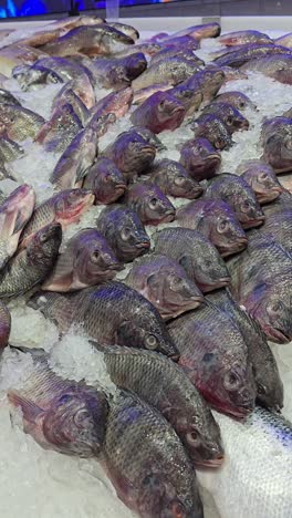 Tilapia-Egipcia-Descongelada-En-Exhibición-En-Un-Supermercado-De-Dubai