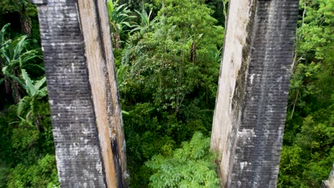 Vista-De-La-Exuberante-Selva-Tropical-Desde-El-Puente-De-Los-Nueve-Arcos-En-Sri-Lanka