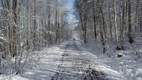 Einsamer-Pfad-Im-Wald,-Im-Winter-Mit-Schnee-Bedeckt