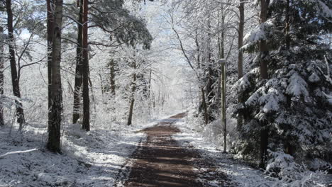 Snow-covered-forest-path-on-a-sunny-winter-day,-trees-lined-with-fresh-white-snow