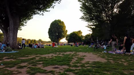 Motion-Time-lapse-of-People-on-Picnic-at-Busy-Public-Park-in-Germany