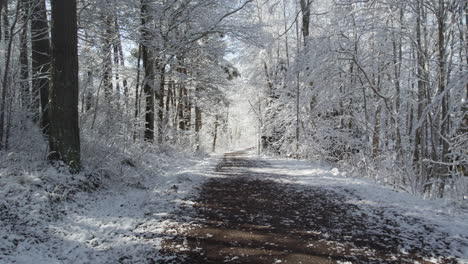 Schneebedeckter-Waldweg-An-Einem-Klaren-Wintertag-Mit-Sonnenlicht,-Das-Durch-Die-Bäume-Fällt