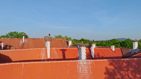 Cigüeñas-Blancas-Anidando-Sobre-El-Tejado-De-Un-Edificio-Histórico-En-Marchegg,-Austria