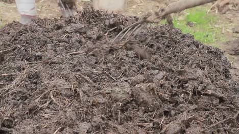 Haciendo-Compost-En-El-Jardín-Con-Gente-Stock-De-Metraje-De-Archivo-Stock-De-Videos