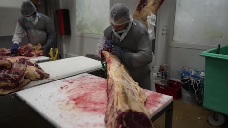 Beef-backbone-being-sliced-off-at-a-meat-processing-plant-by-worker,-Medium-shot