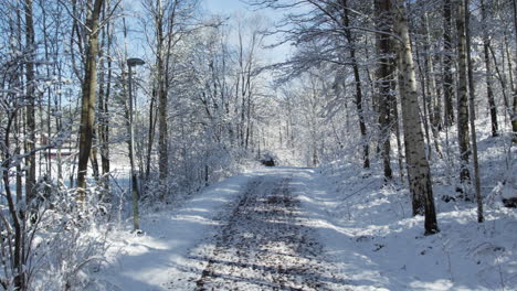 Snow-covered-path-through-a-tranquil-forest-on-a-clear-winter-day