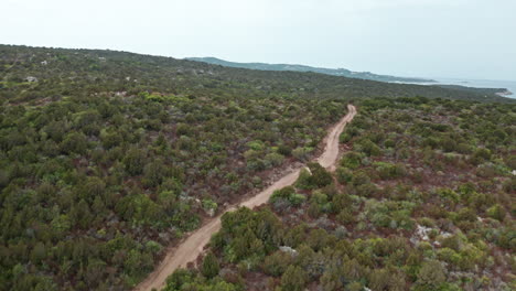 Un-Camino-De-Tierra-Serpentea-A-Través-De-Una-Exuberante-Vegetación-En-Cerdeña-Capturado-Desde-Una-Perspectiva-Aérea