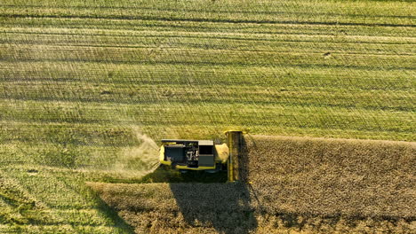 Close-up-aerial-view-of-a-combine-harvester-cutting-through-a-field,-leaving-a-trail-of-chaff-behind