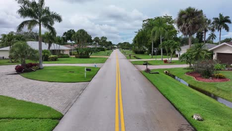 Camino-Recto-En-Un-Vecindario-Residencial-De-Florida-Con-Palmeras-Y-Césped-Verde.